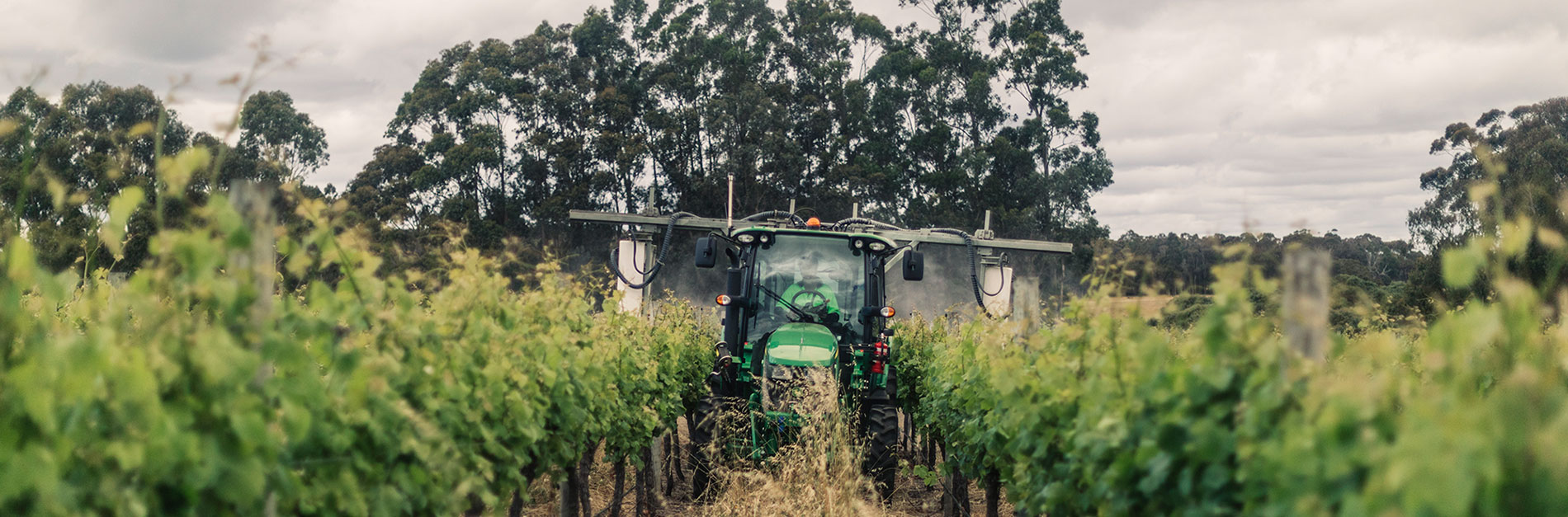 Photo: Kimberley Low / Wine Australia